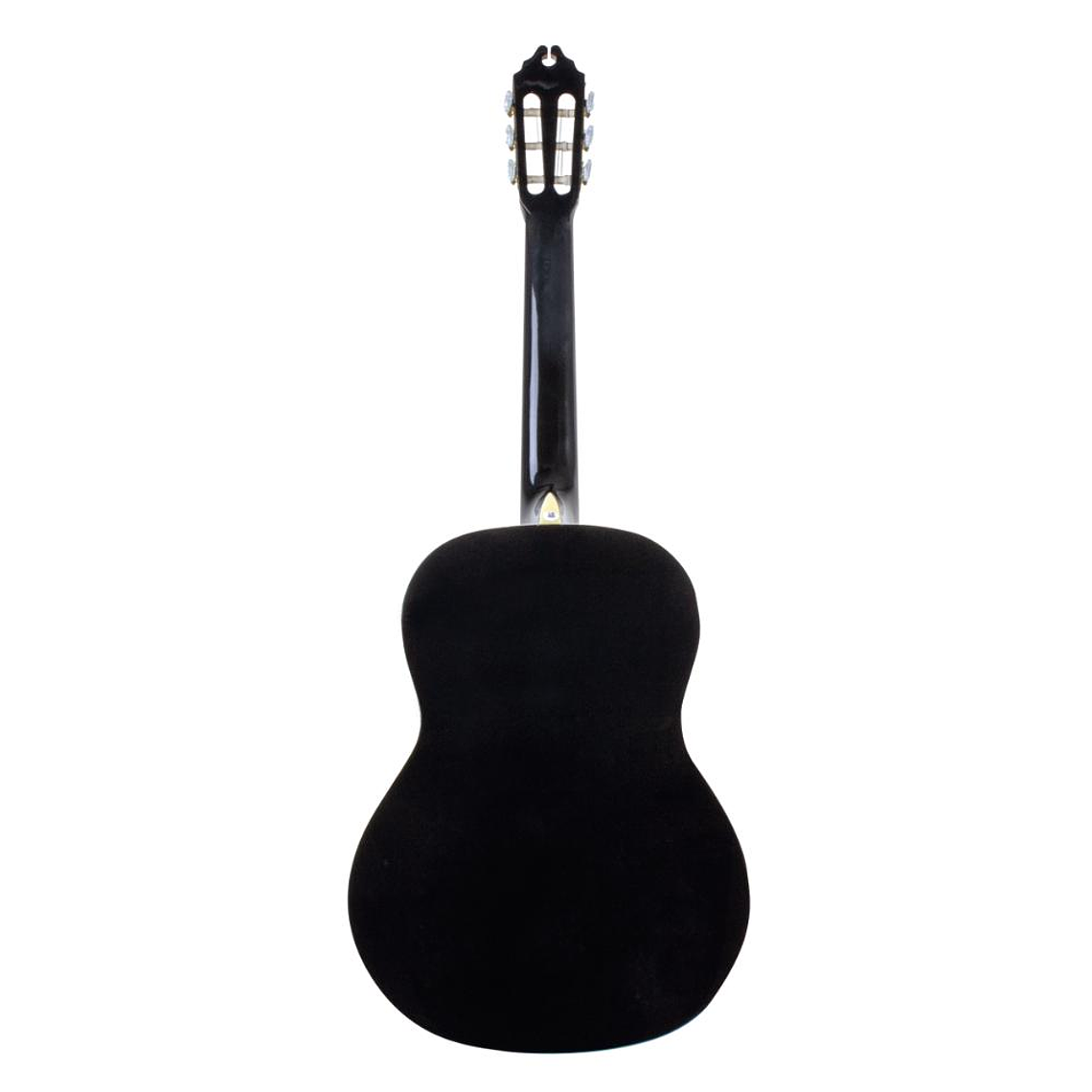 Guitarra Acustica Washburn C5B 2