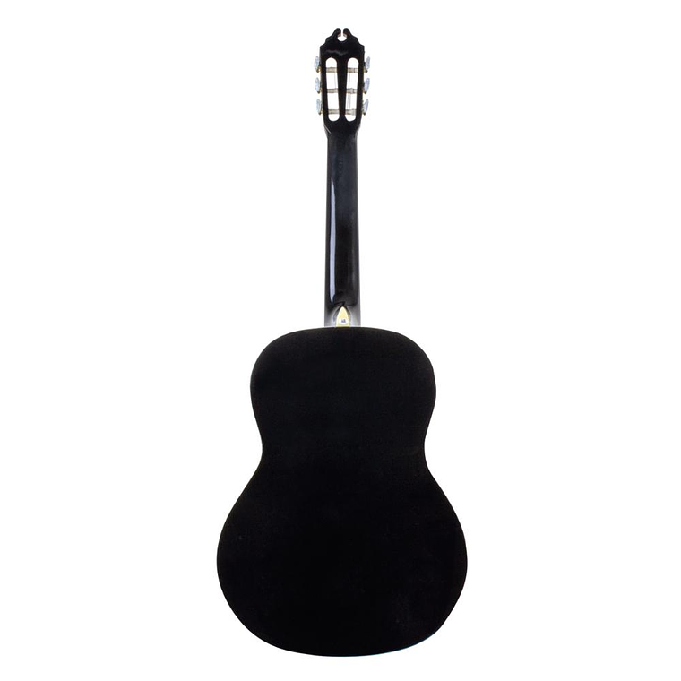 Guitarra Acustica Washburn C5B 2