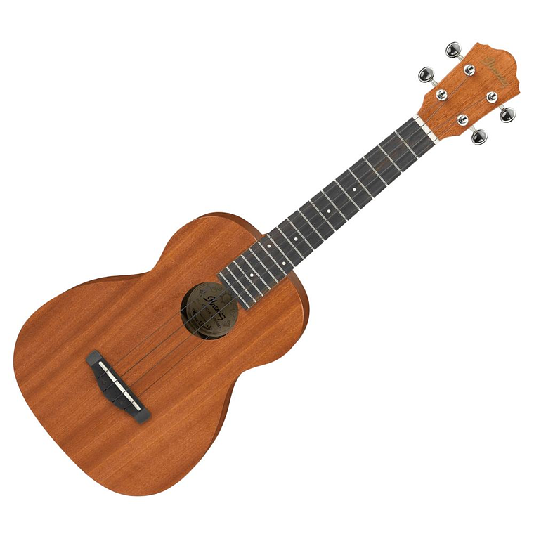 Ukelele acustico Ibanez UKC10 1