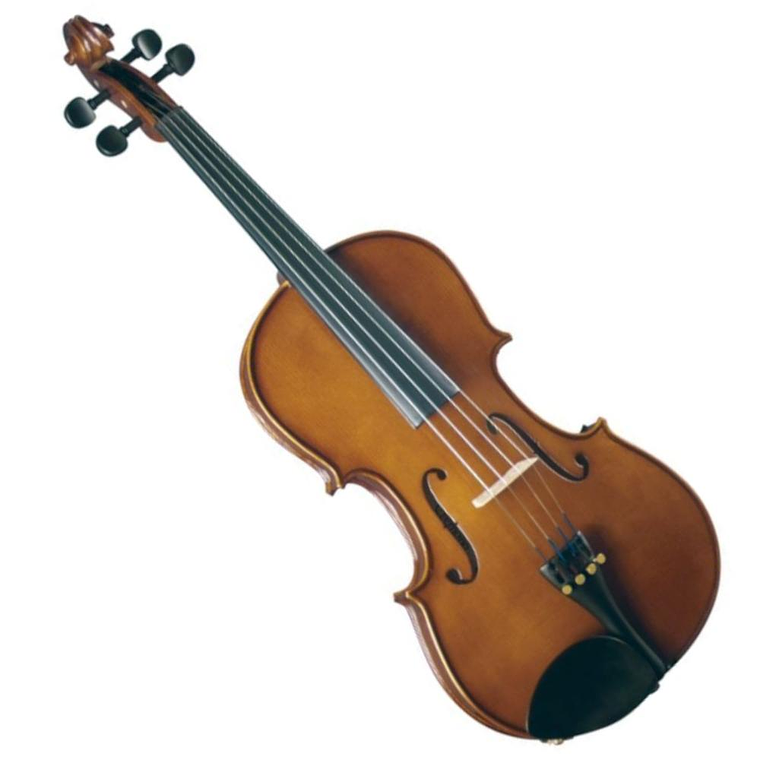 Viola Cremona SVA-100 14'' 2