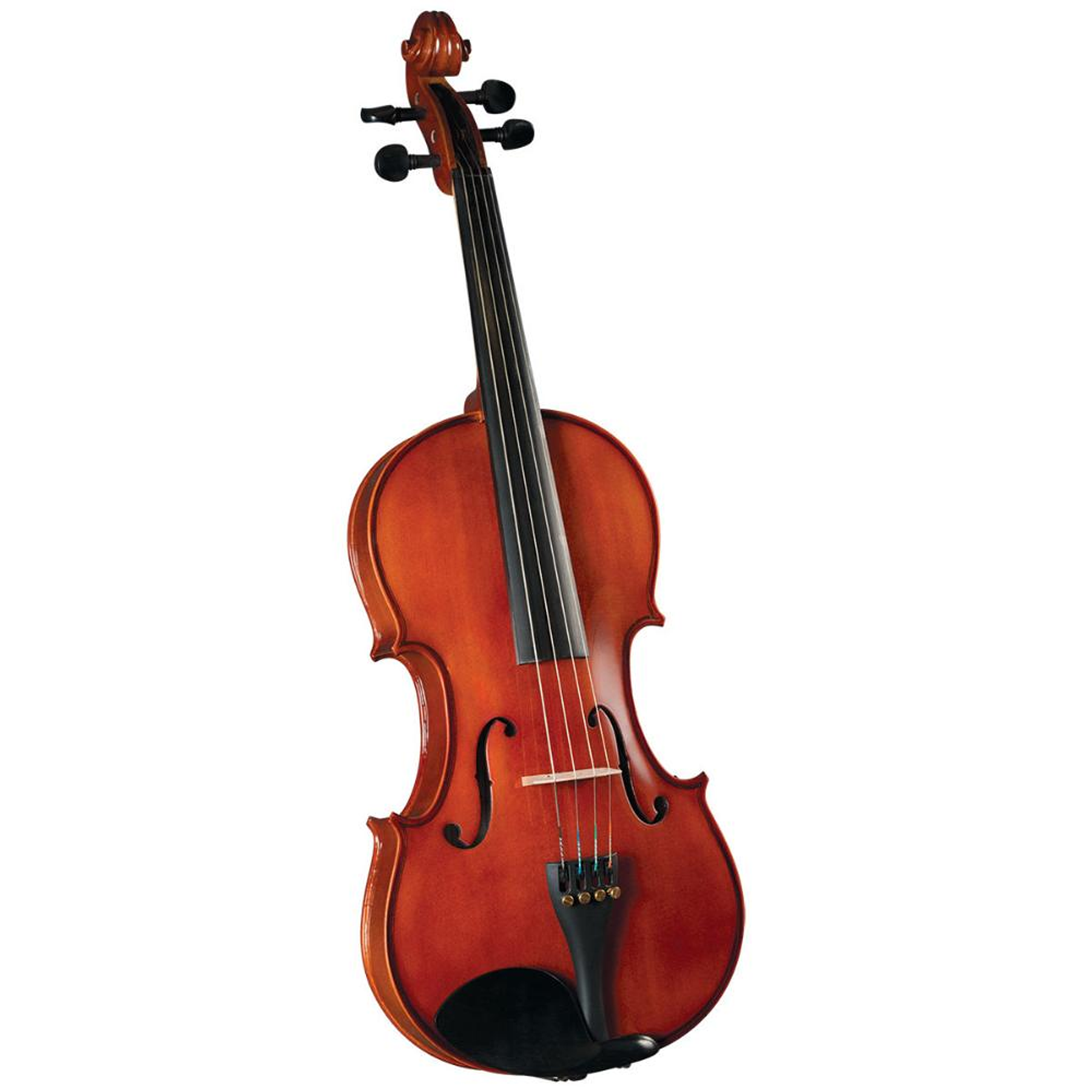 Viola Cervini HVA-150 de 14''