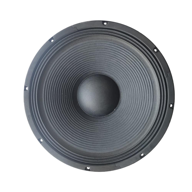 Woofer 15 pulgadas Alpha Pro PAR-915 1