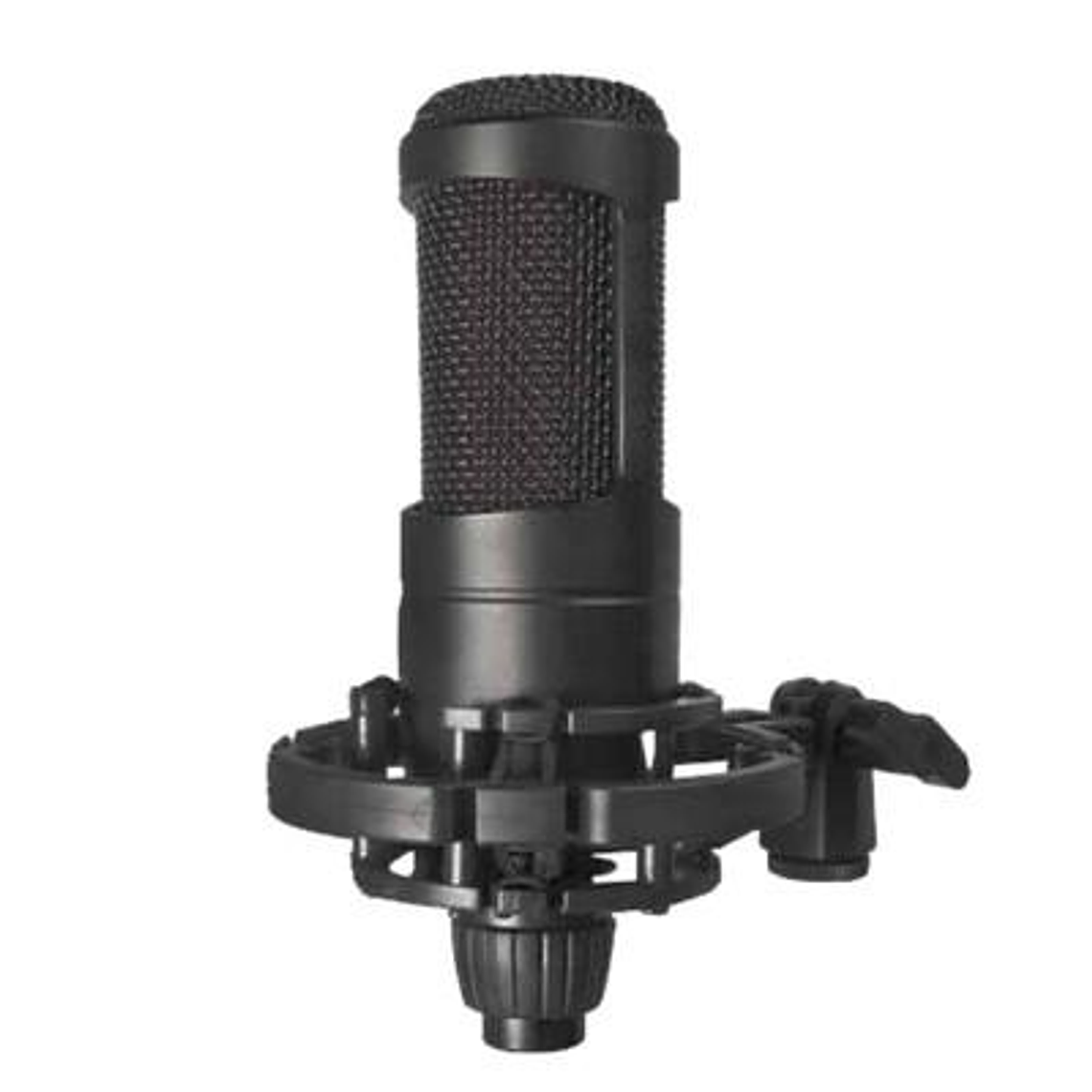 Microfono Condensador audiopro AP02039 1