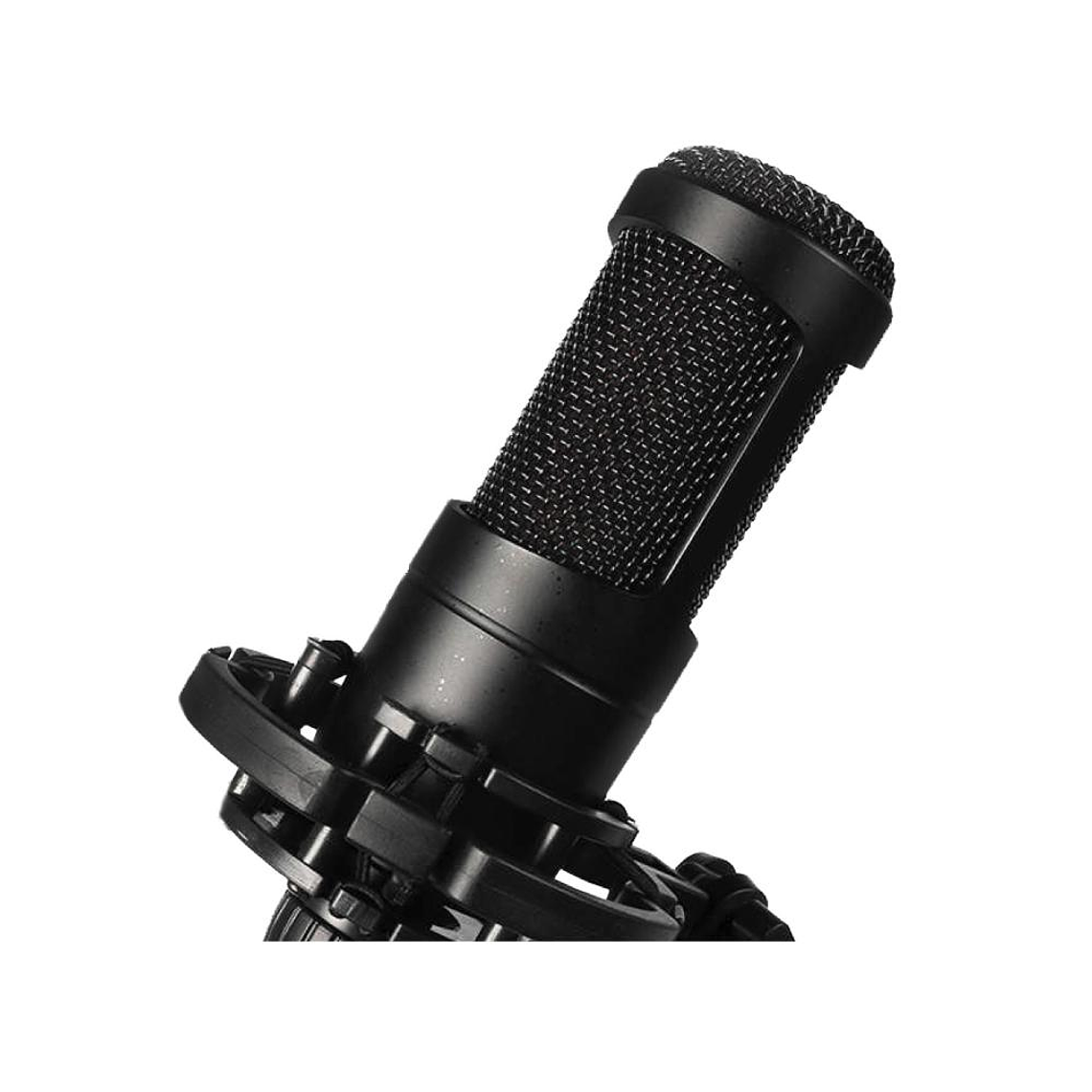 Microfono Condensador audiopro AP02039 2