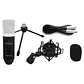 Microfono Condensador XLR Marantz MPM-1000 - Miniatura 4