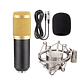 Microfono Condensador Home Studio Fidek DBG786 - Miniatura 1