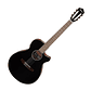 Guitarra Electroacustica Ibanez AEG50N BKH - Miniatura 1