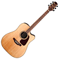Guitarra Electroacustica Folk Metal Takamine GD93CE NT - Miniatura 1