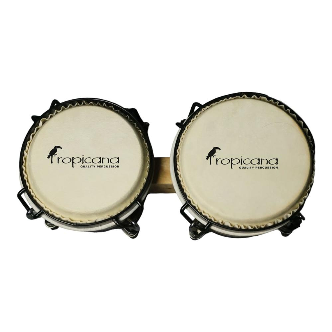 Bongo 6 y 7 Tropicana BOBBS610NW Natural 2