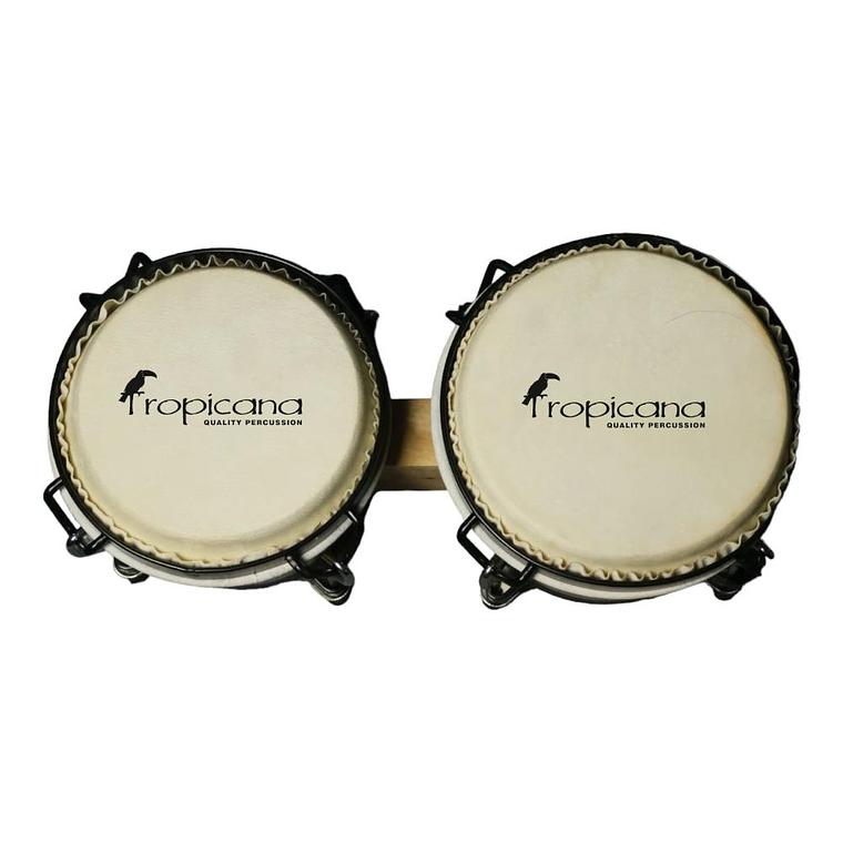 Bongo 6 y 7 Tropicana BOBBS610NW Natural 2