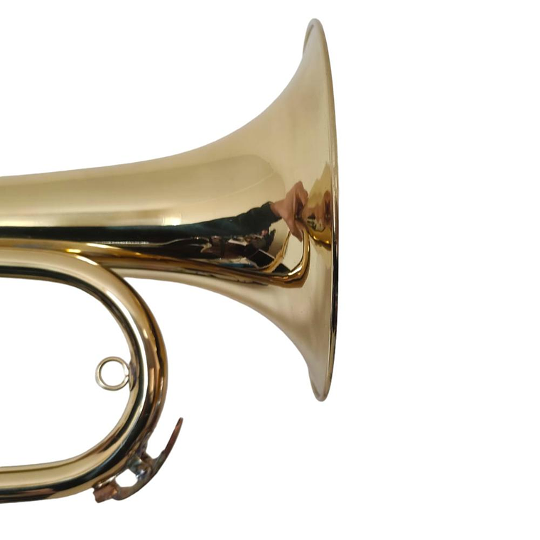 Corneta de Banda Bb Dorada Etinger MMCC-100 3