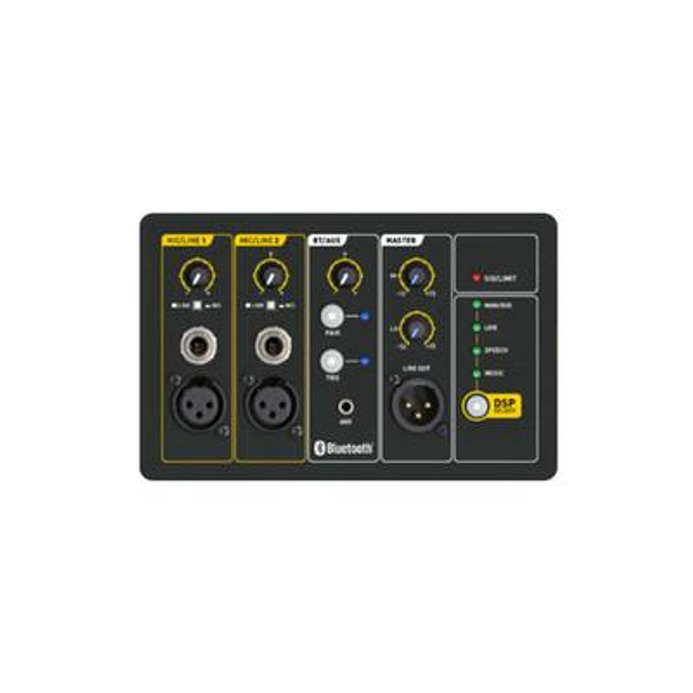 Caja Activa 10 pulgadas SKP Q10 MK2 3