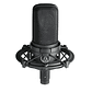 Microfono Condensador XLR Audiotechnica AT4040 - Miniatura 2