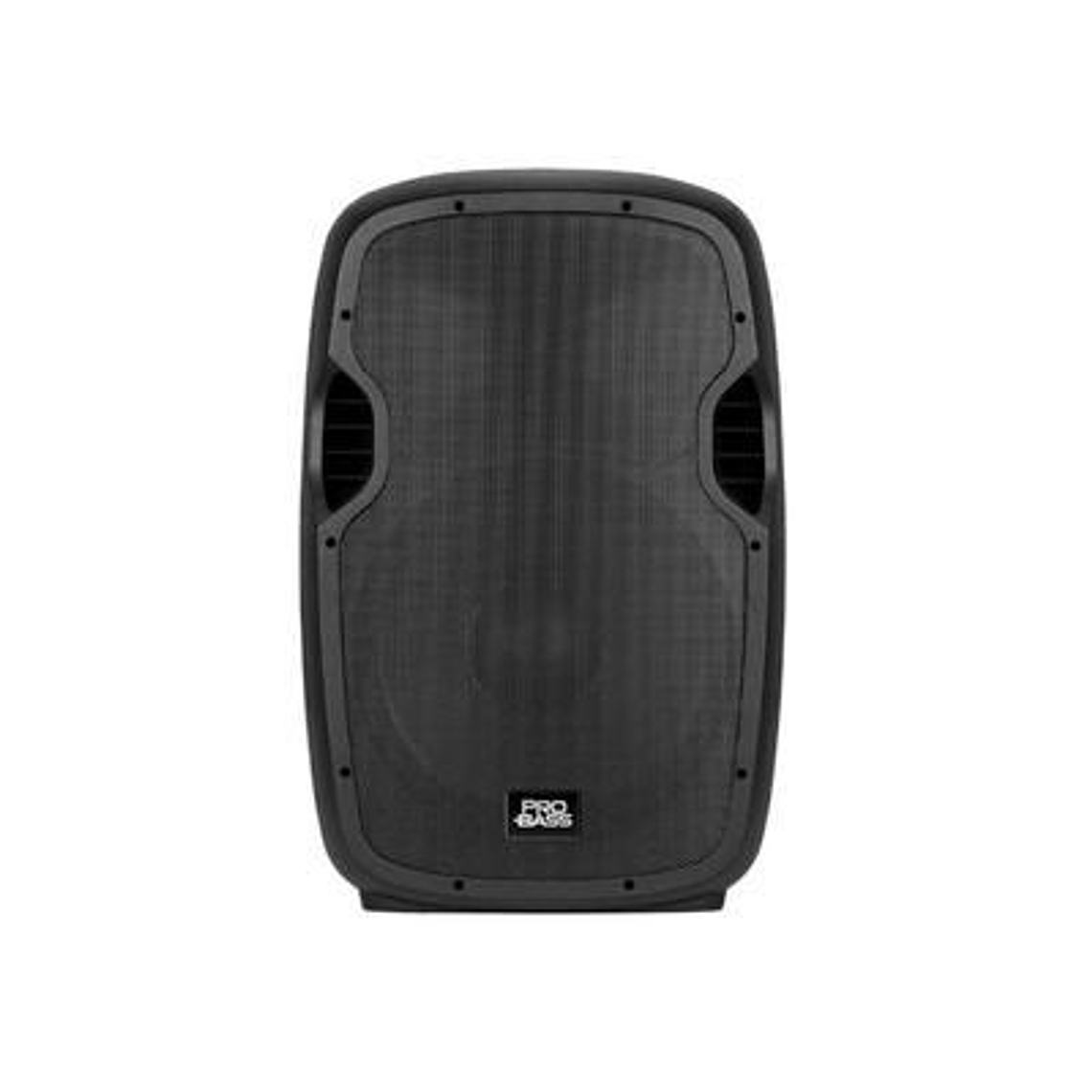 Caja Activa Probass Elevate 115 2