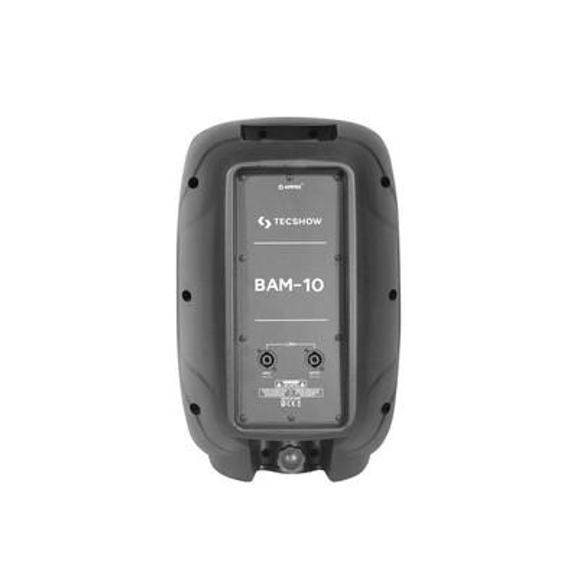 Caja Pasiva 10 pulgadas Tecshow BAM-10 3