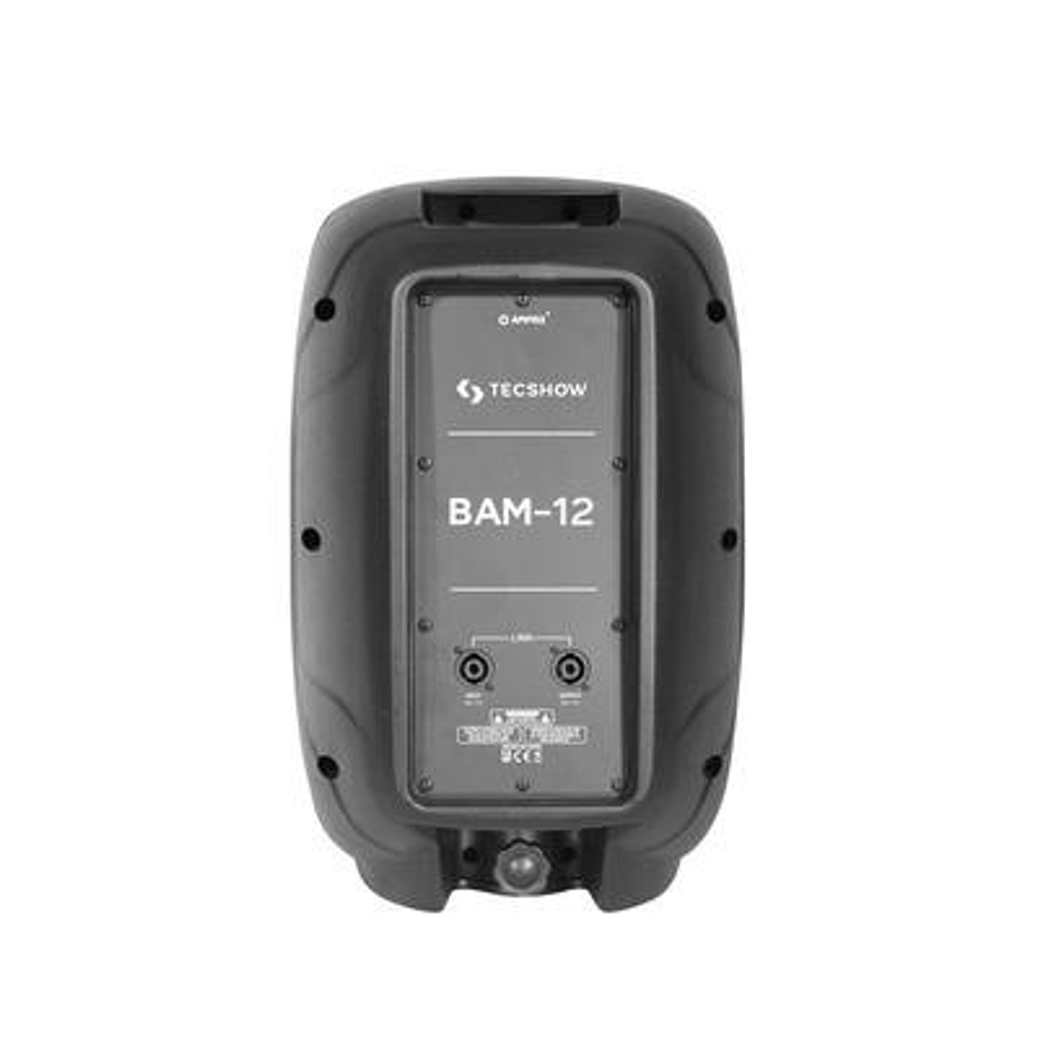 Caja Pasiva 12 pulgadas Tecshow BAM-12 3