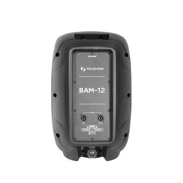 Caja Pasiva 12 pulgadas Tecshow BAM-12 3