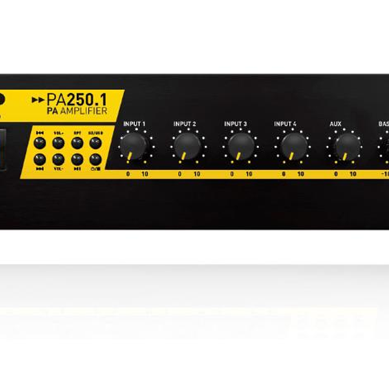 Amplificador Ambiental SKP PA-250.1 1