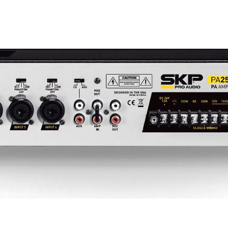 Amplificador Ambiental SKP PA-250.1 2