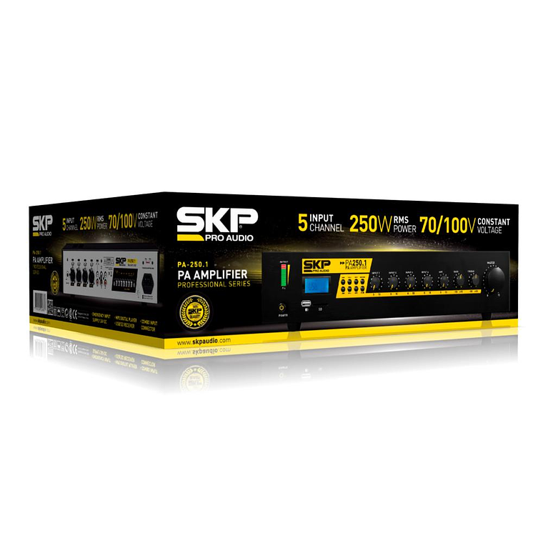 Amplificador Ambiental SKP PA-250.1 3