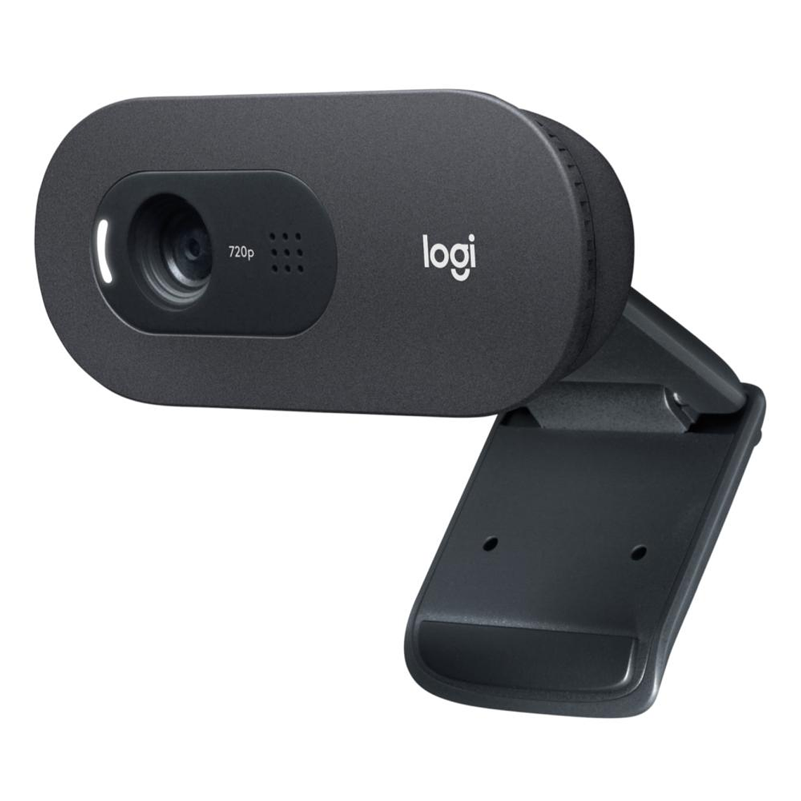 Camara Web Logitech C505e 1