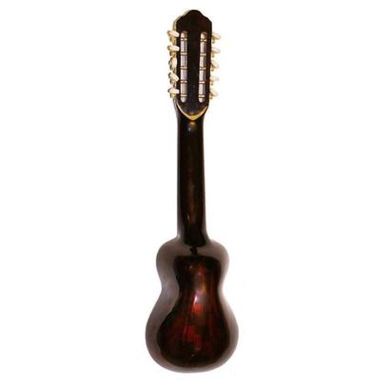 Charango acustico Oruro BLB-900 2