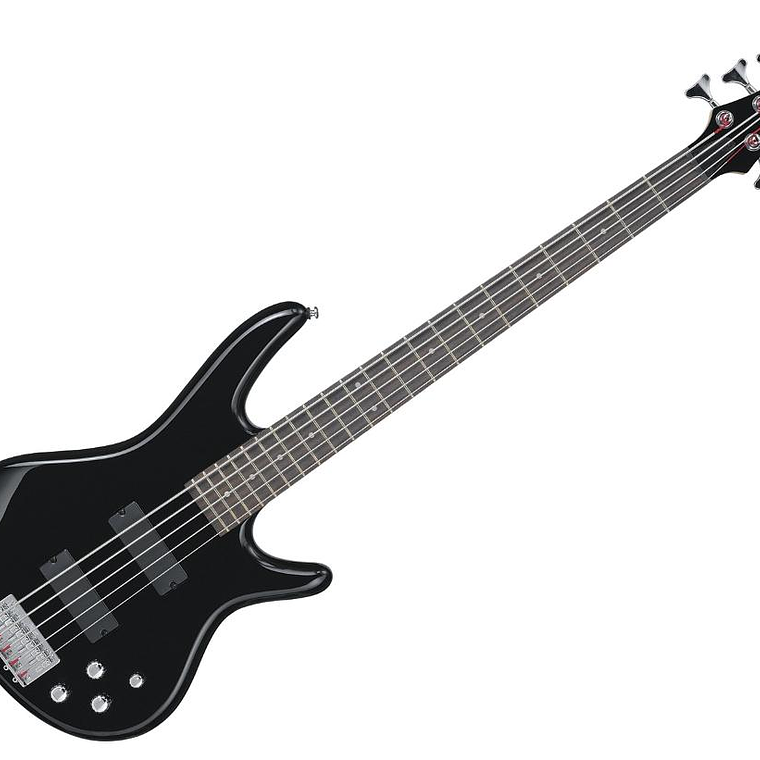 Bajo Electrico de 5 cuerdas Ibanez GSR205 BK 1