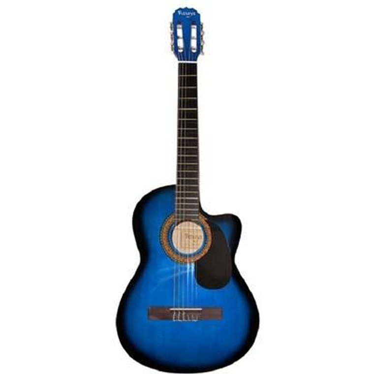 Guitarra Acustica Vizcaya ARCG39-UB 1