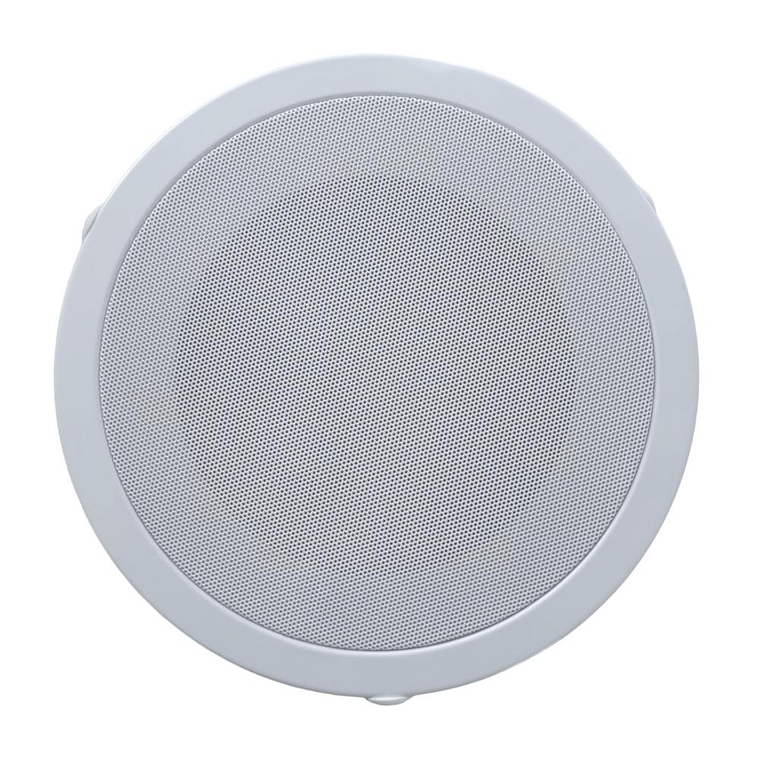 Parlante Ambiental de Cielo CarverPro EVE-860 1