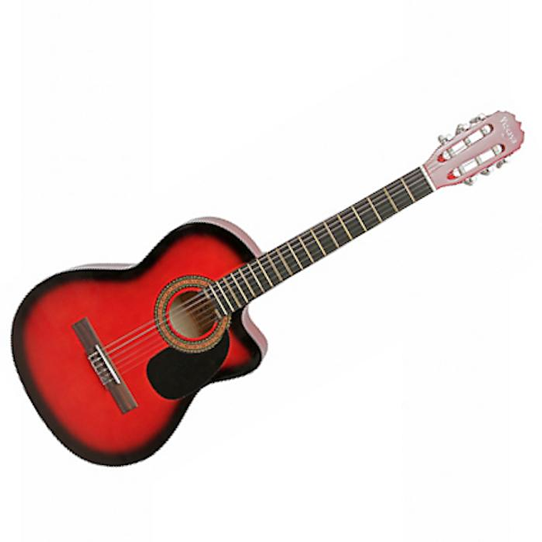 Guitarra Acustica Vizcaya ARCG39-RB 1