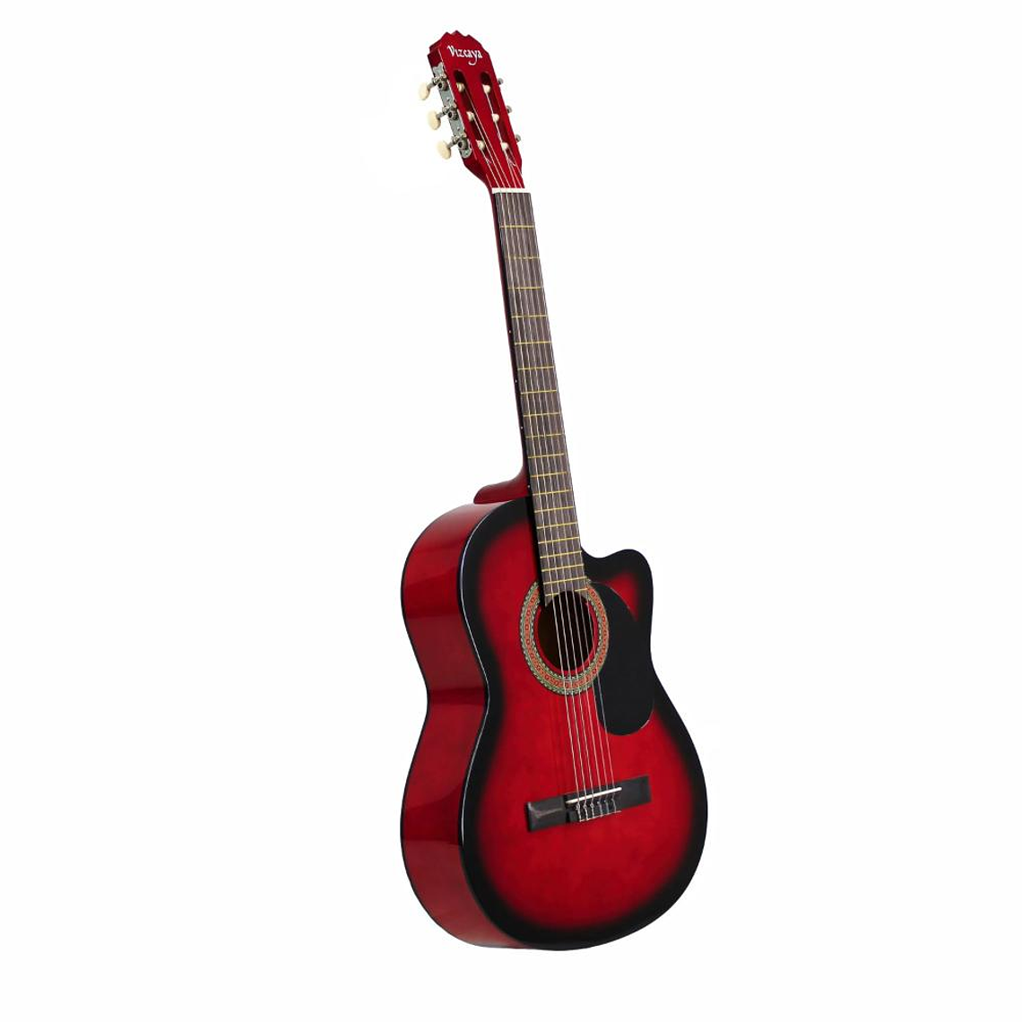 Guitarra Acustica Vizcaya ARCG39-RB 2