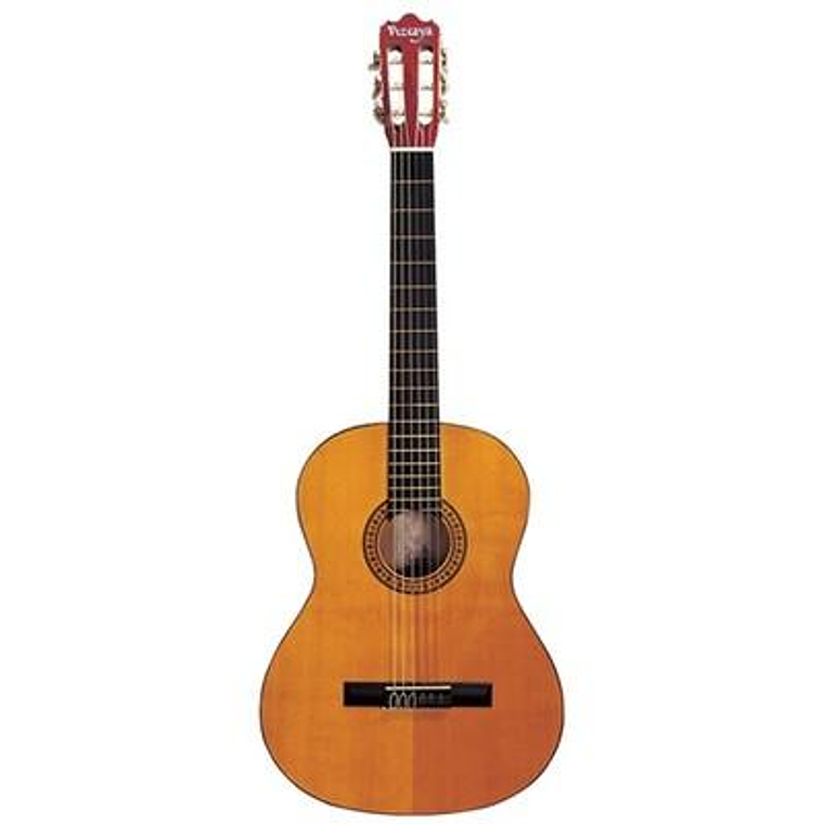 Guitarra Acustica Vizcaya Castilla 1