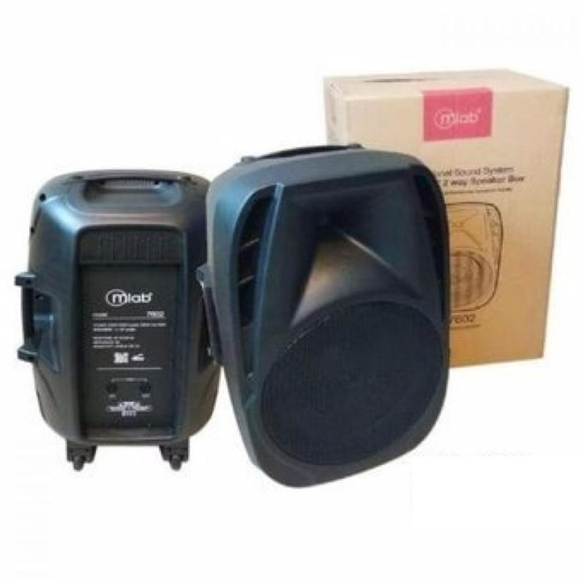 Parlante pasivo 15'' MLab 7602 2