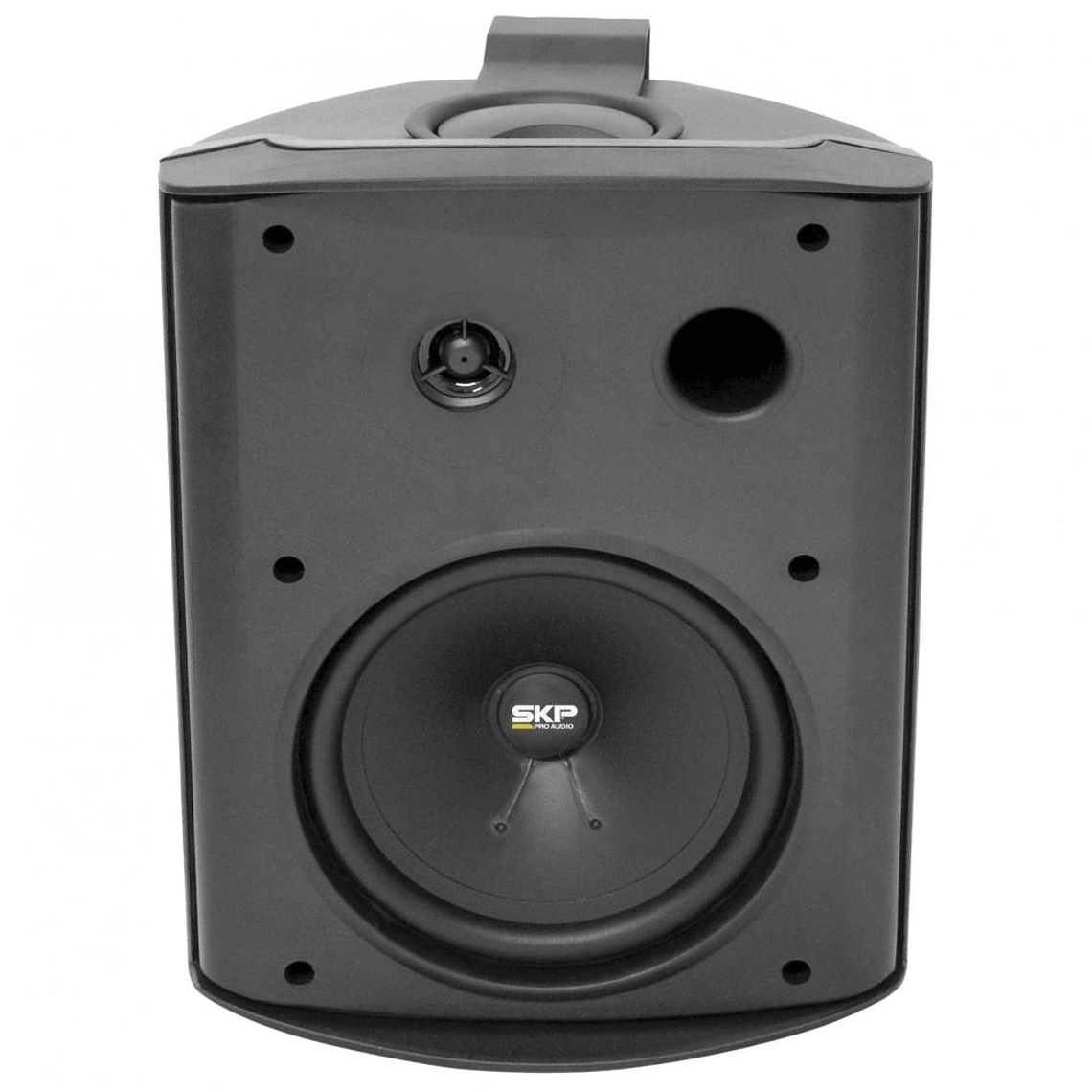 Parlante Ambiental Pasivo SKP SK-106T Negro 1