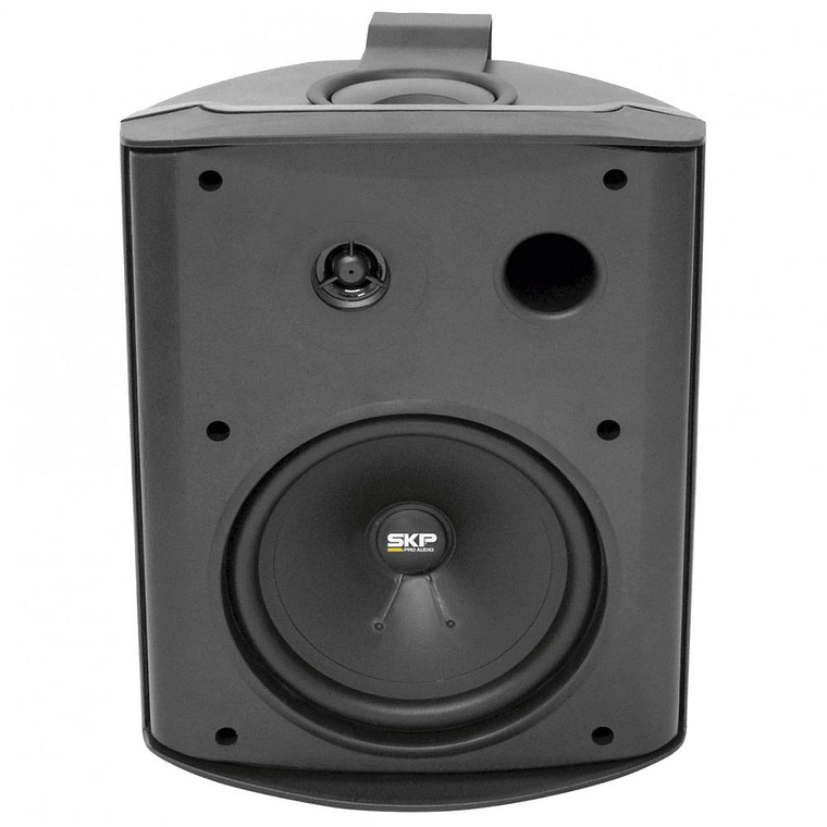 Parlante Ambiental Pasivo SKP SK-106T Negro 1