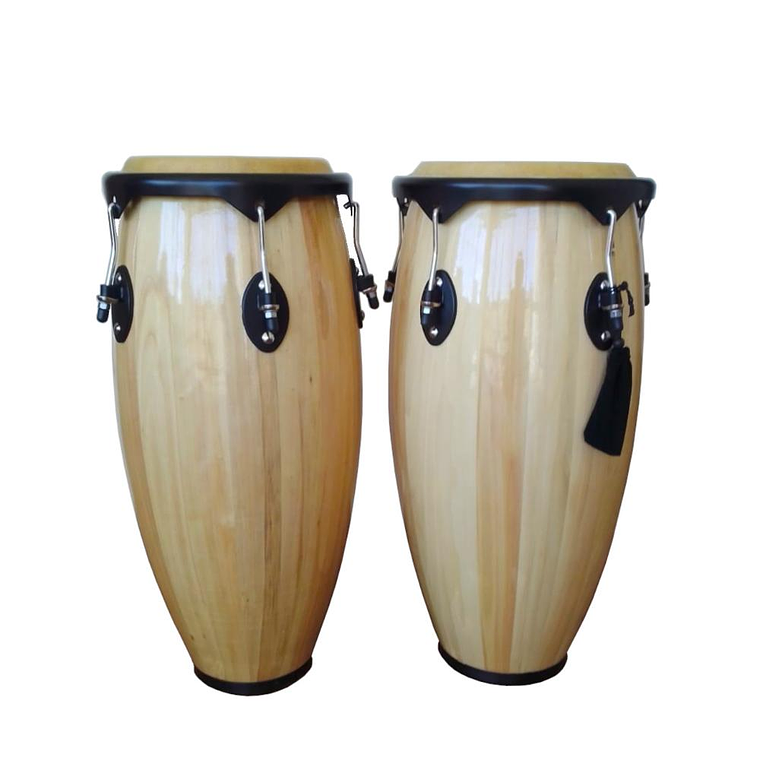 Set de Congas GCR 10+11 con macetero 1