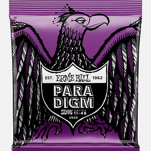 Cuerdas Guitarra Electrica Ernie Ball P02020