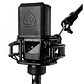 Microfono Condensador Lewitt LCT 441 FLEX - Miniatura 2