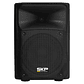 Caja Activa SKP modelo SK-2PX - Miniatura 1
