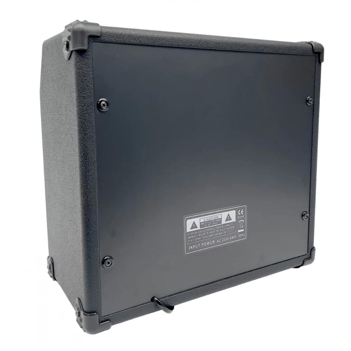 Amplificador Bajo 40W Wotan Magni B-40 (GB-40) 2