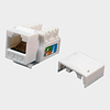 Modulo RJ45 CAT 6 UTP Keystone Blanco