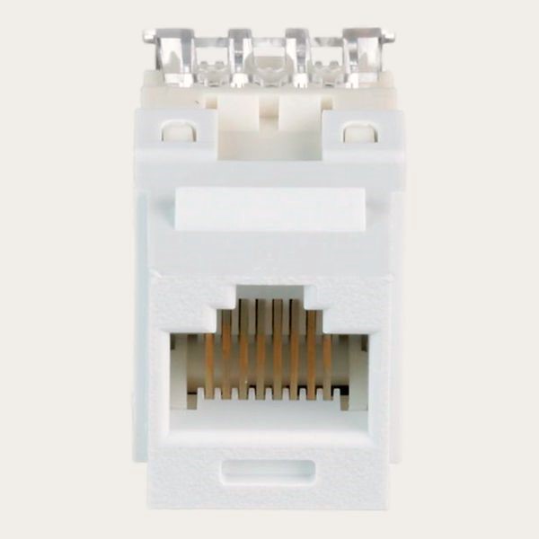 Modulo RJ45 CAT 6 Panduit Keystone UTP 4 pares Blanco Invierno 1