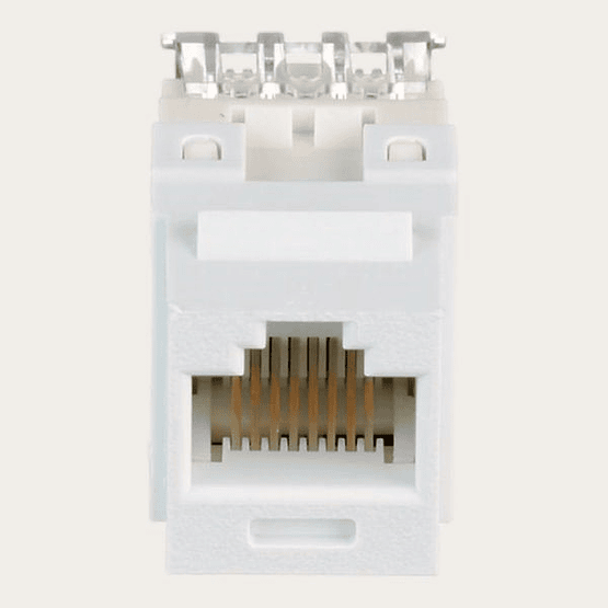 Modulo RJ45 CAT 6 Panduit Keystone UTP 4 pares Blanco Invierno