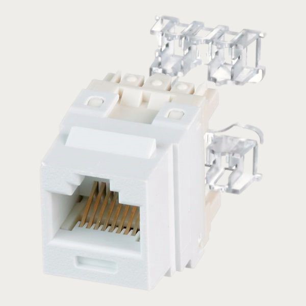 Modulo RJ45 CAT 6 Panduit Keystone UTP 4 pares Blanco Invierno 3