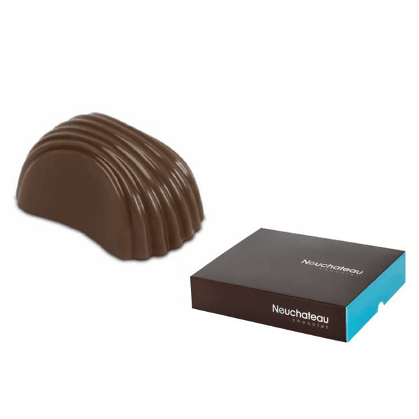 Bombones De Chocolate Premium Neucober Crema de Almendra 1kg 1