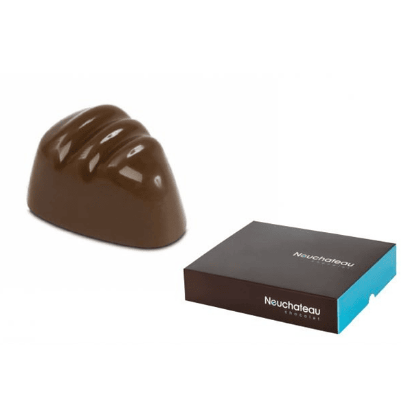 Bombones De Chocolate Premium Neucober Manjar 1kg 1