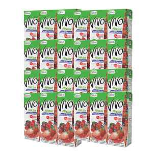 Caja Jugos Néctar Vivo Doble Fruta 24 Unidades 190 ml