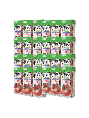 Caja Jugos Néctar Vivo Doble Fruta 24 Unidades 190 ml