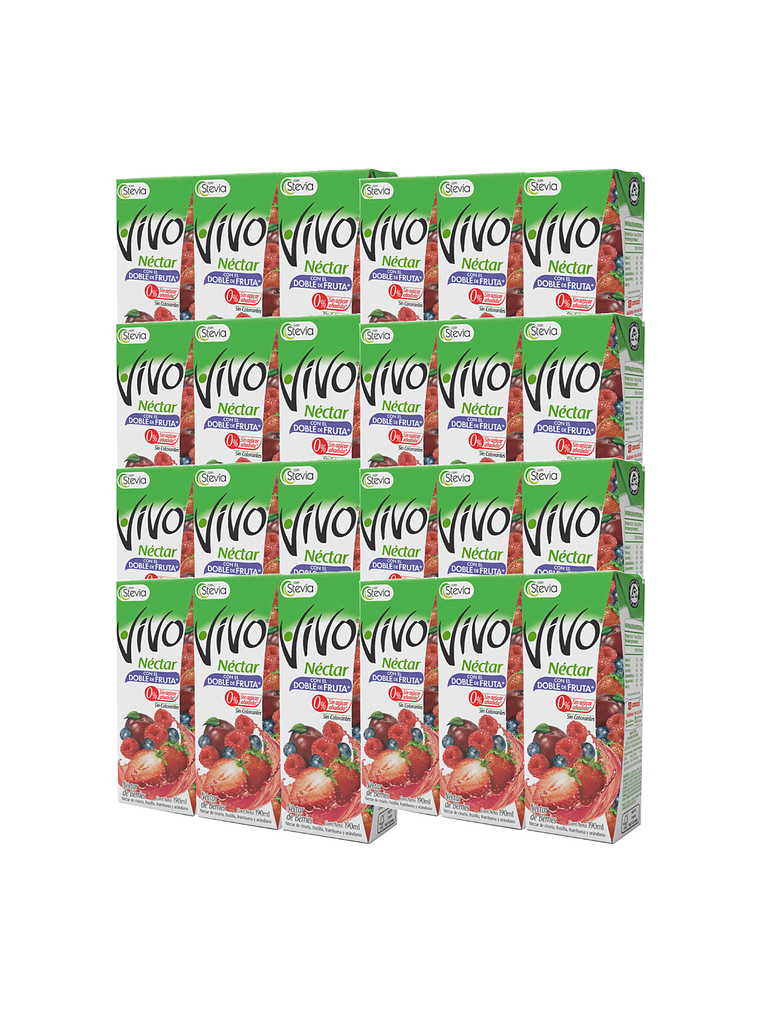 Caja Jugos Néctar Vivo Doble Fruta 24 Unidades 190 ml 1