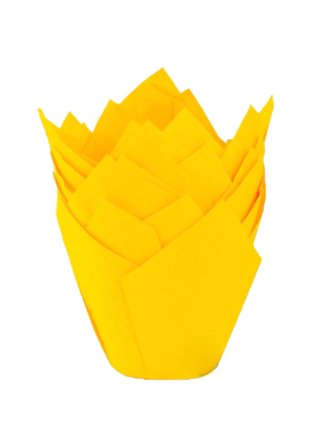 Moldes Tulipas x50 unidades 2